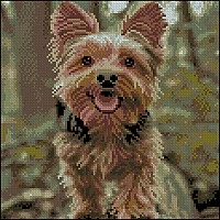 Diamond mosaic "Jolly York" FZ3030-39, 30x30 cm