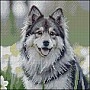 Diamond mosaic "Husky in Flowers" FZ3030-44, 30x30 cm