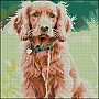 Diamond mosaic "Golden Spaniel" FZ3030-45, 30x30 cm