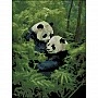 Diamond mosaic "Pandas in the forest" FZ3040-08, 30x30 cm