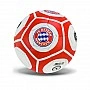 FC Bayern Munich FP081 No. 5 soccer ball, 420 grams of PU, 32 panels, mesh and needle included