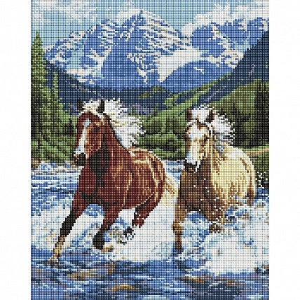 Diamond mosaic "Power in Motion" AMO20010, 40x50 cm