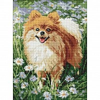 Diamond mosaic "Chamomile Pleasure" AMO20307, 30x40 cm