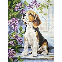 Diamond mosaic "Beagle at flowers" AMO20375, 30x40 cm