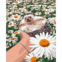 Painting by numbers "Hedgehog in Chamomiles" LW3086, 40x50 cm