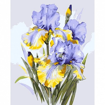 Картина за номерами «Букет ірисів» LW31600, 40x50 см
