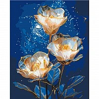 Painting by numbers "Space Astromeria" LW3337 with metallic paints 40x50 cm