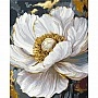 Painting by numbers "White Peony" LW3429 with metallic paints 40x50 cm