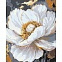 Diamond mosaic "Flowers. White Peony" OD3429, 40x50 cm