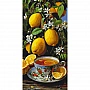 Paint-by-numbers kit "Tea in the Lemon Grove" LW5197, 40 x 80 cm