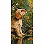 Painting by numbers "Dialogue with Nature - Dog and Insect" LW5204, 40x80 cm