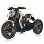 Children's electric motorcycle M 5048EL-13 up to 30 kg
