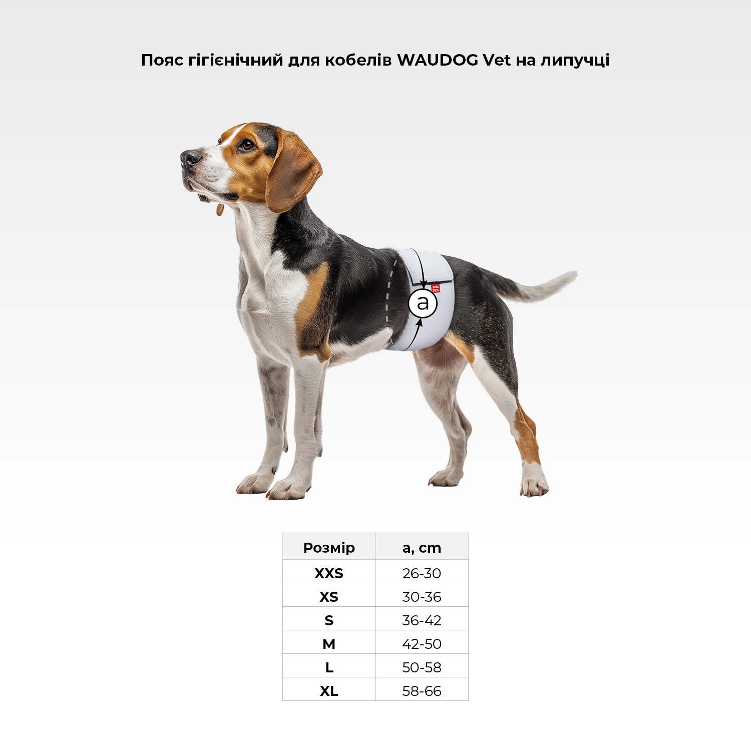 Пояс гигиенический для кобелей WAUDOG Vet на липучке, серый, M, А 42-50 см