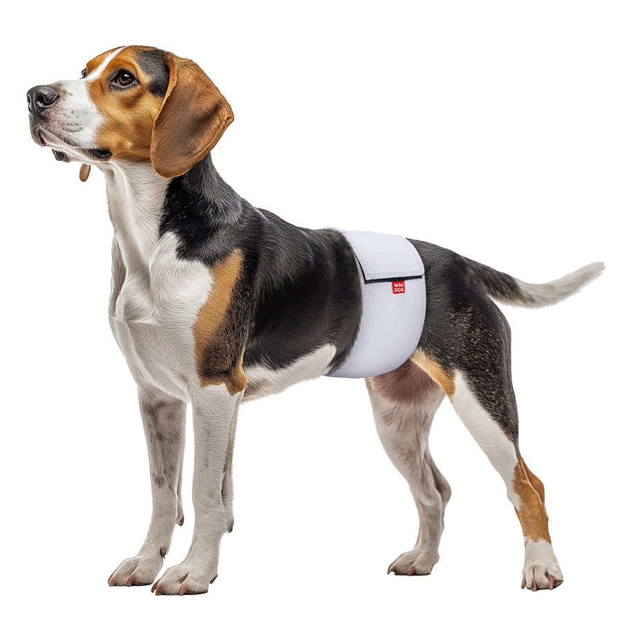 Пояс гигиенический для кобелей WAUDOG Vet на липучке, серый, M, А 42-50 см