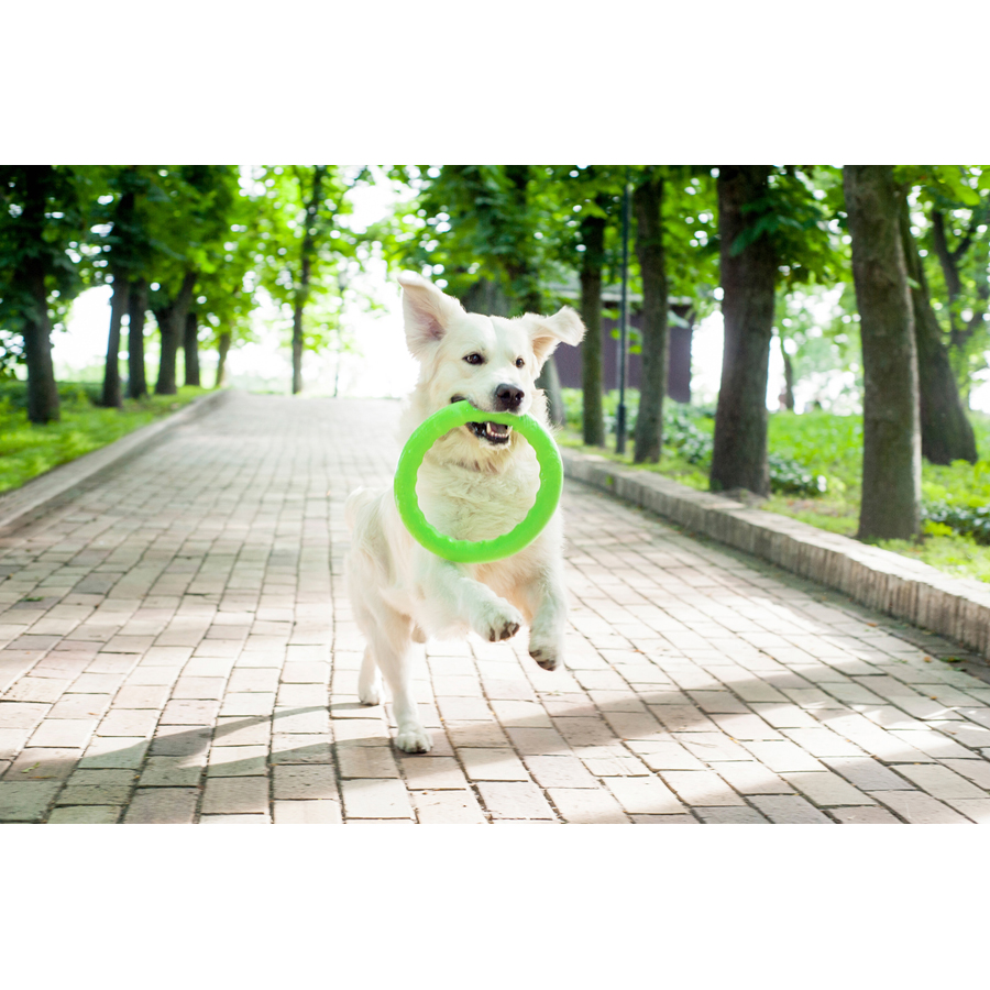 Retrieving ring PitchDog20, diameter 20 cm, light green