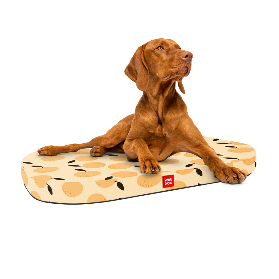 WAUDOG Relax dog bed, orange design, with a replaceable cover, S, W 55 cm, L 40 cm