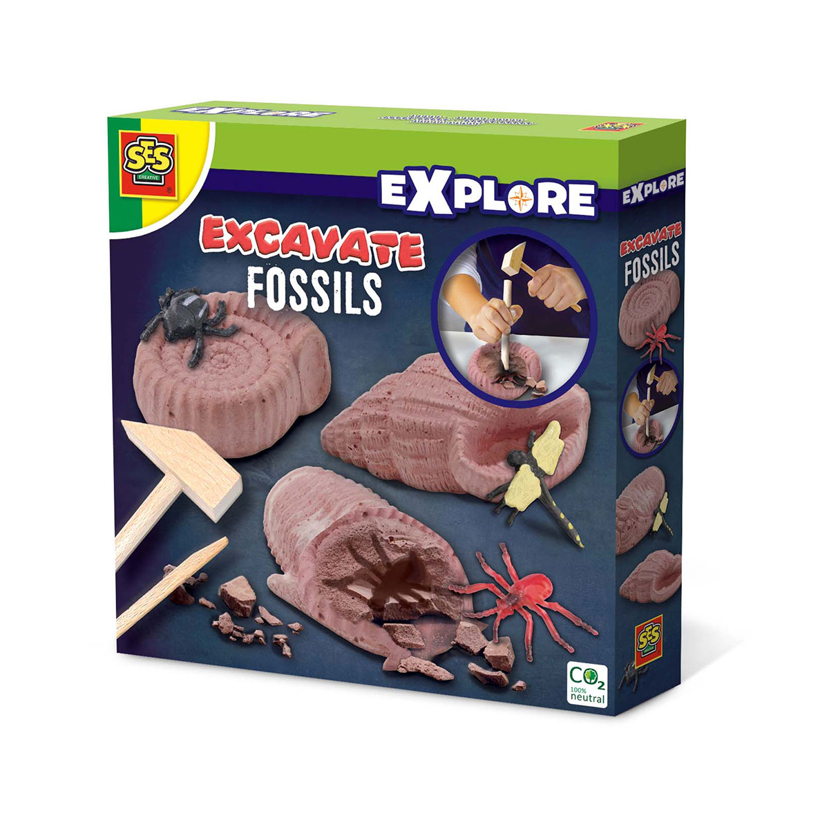 Explorer Series Set - Excavation of Fossilized Insects