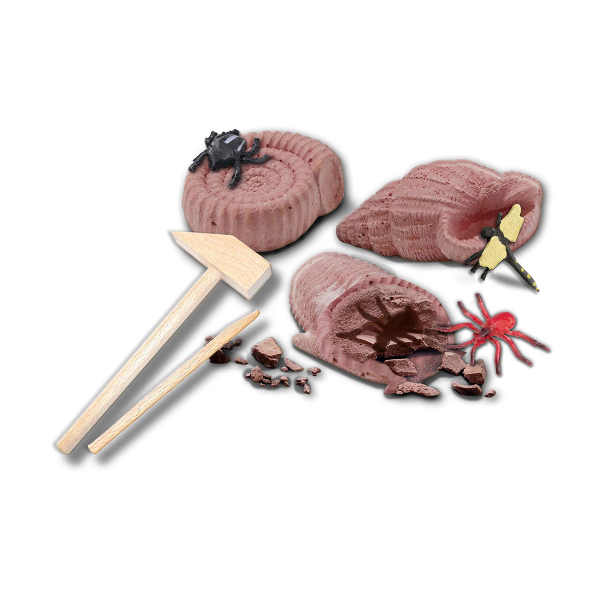 Explorer Series Set - Excavation of Fossilized Insects