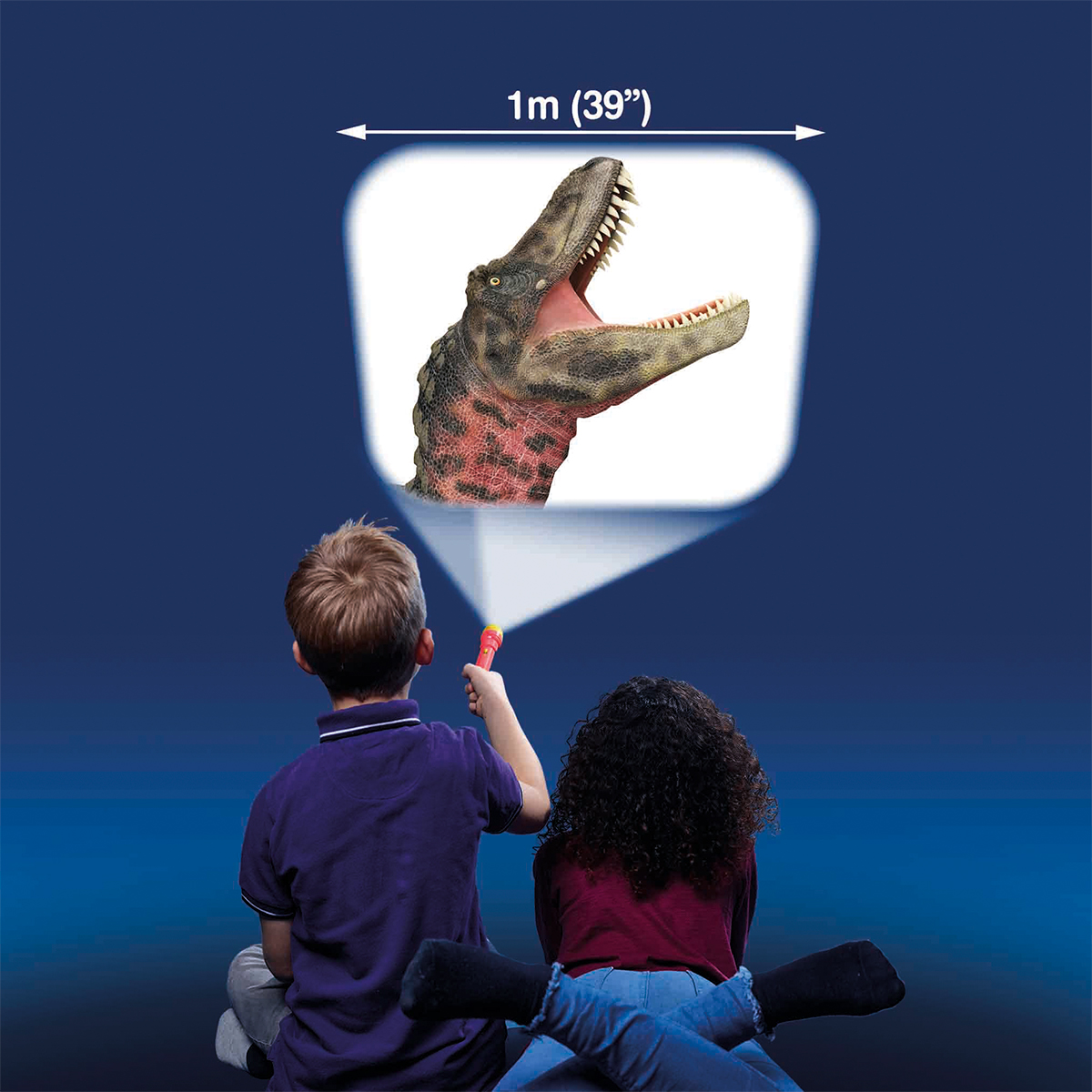 Brainstorm Flashlight Projector - Dinosaur World (3 disks, 24 pictures) Brainstorm Flashlight Projector - Dinosaur World (3 disks, 24 pictures)