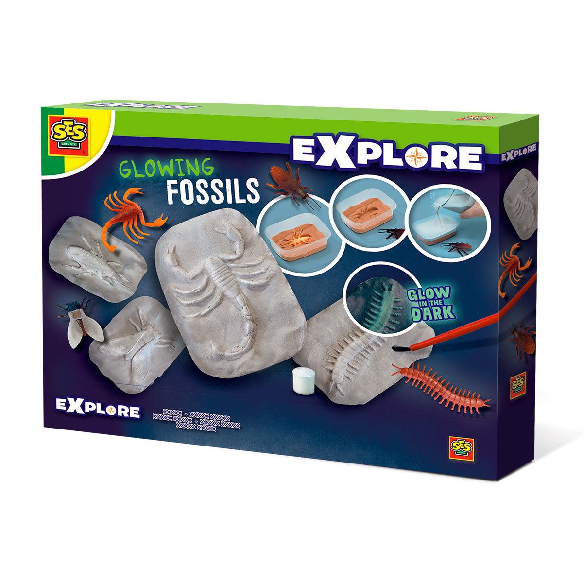 Explorer Series Set - Glowing Insect Fossils