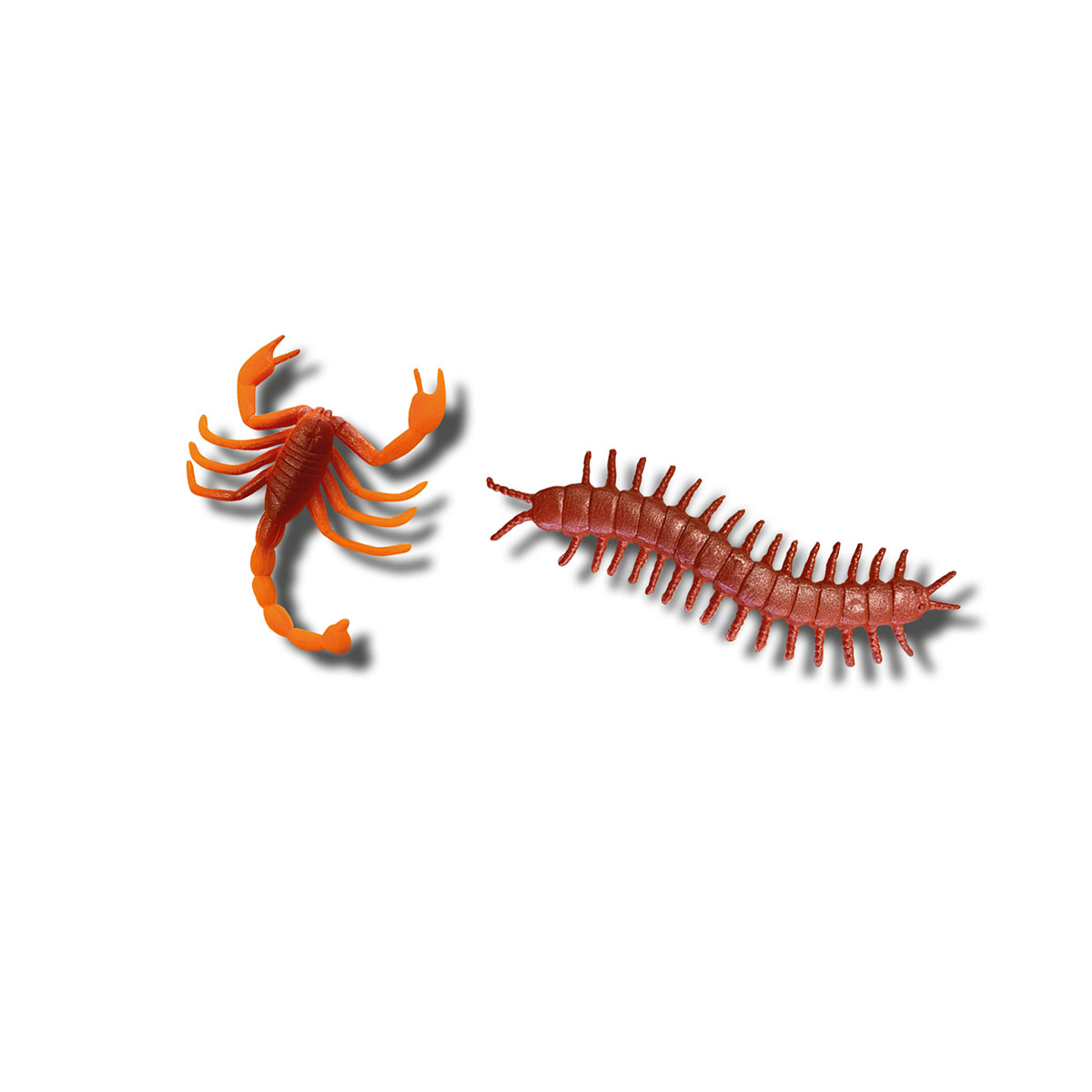 Explorer Series Set - Glowing Insect Fossils