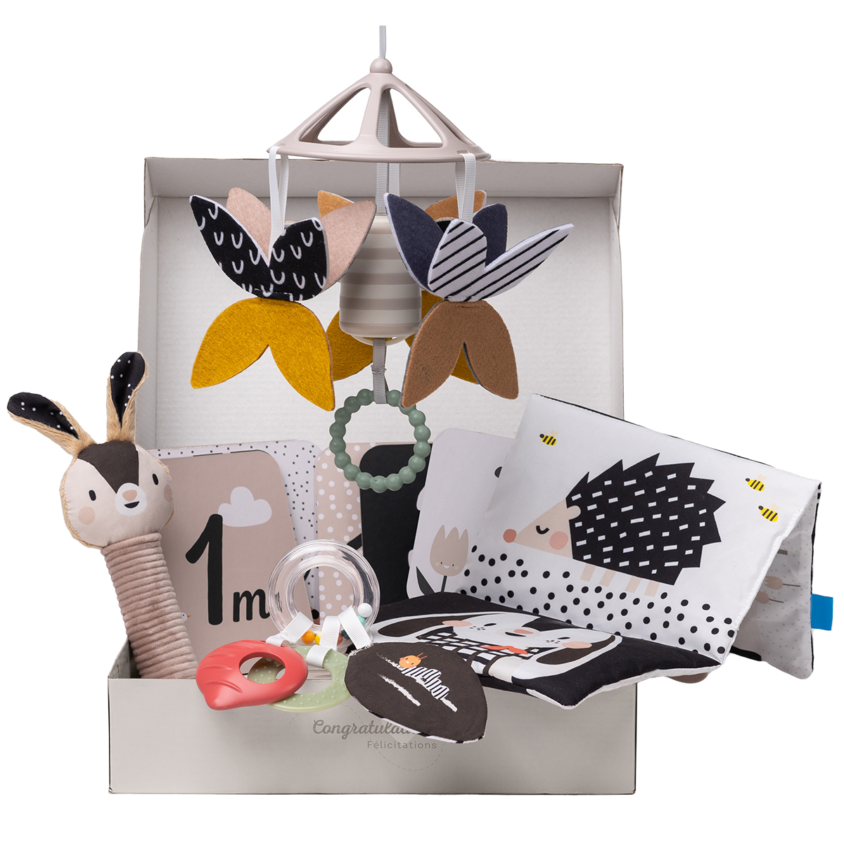 Newborn Toy Gift Set – Black and White Harmony
