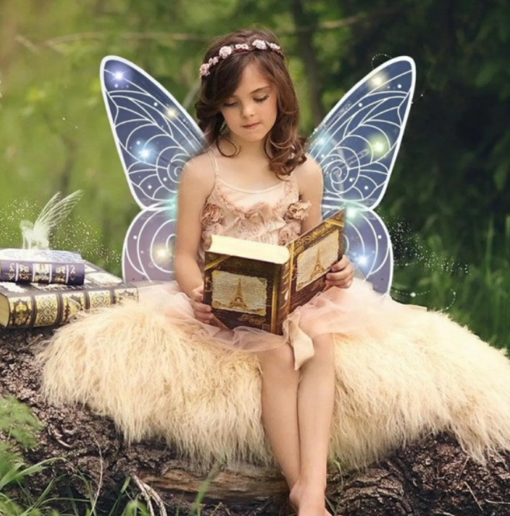 Shadow Angel Lighted Wings (-331)