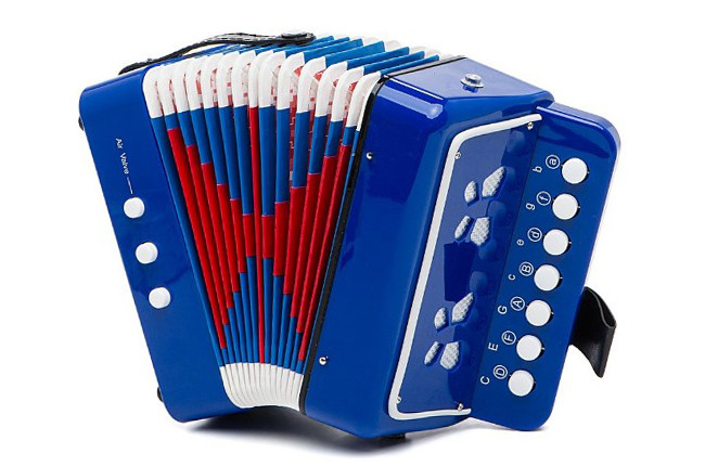 Toy Accordion 6429 4 Types Blue