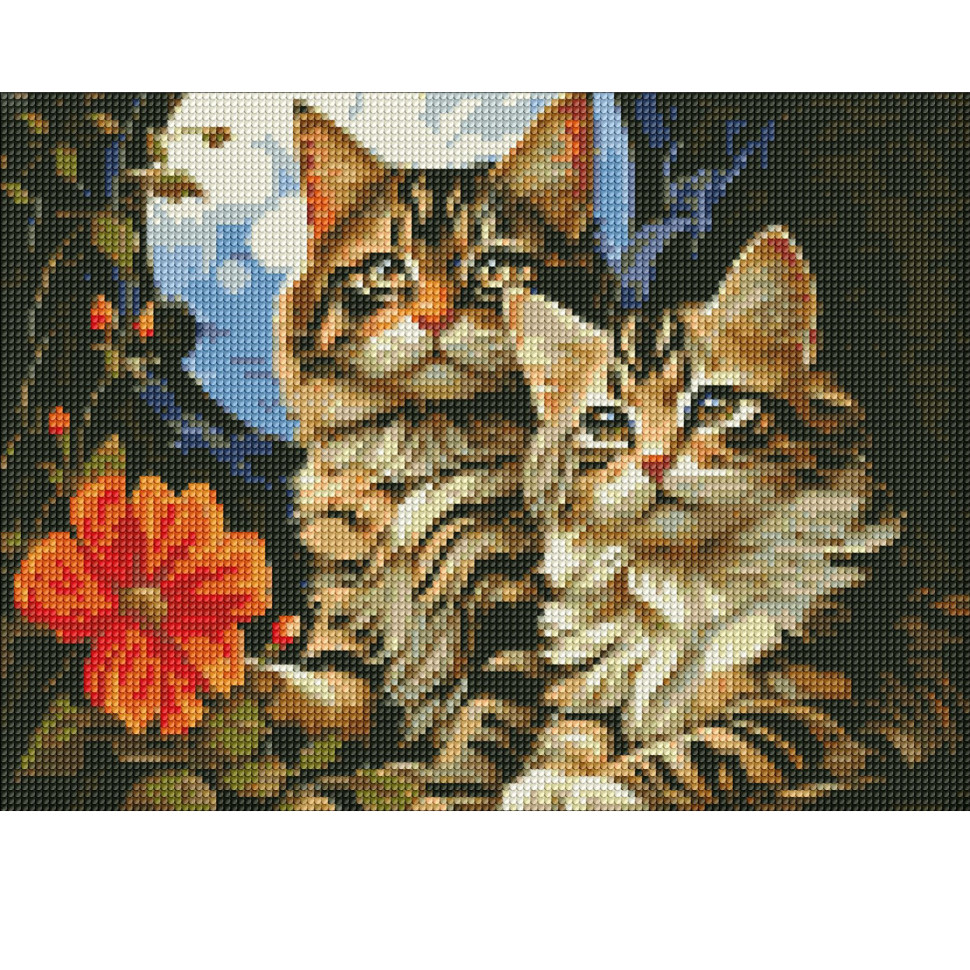 Diamond mosaic "Magic Kittens" AMO7853 30x40cm