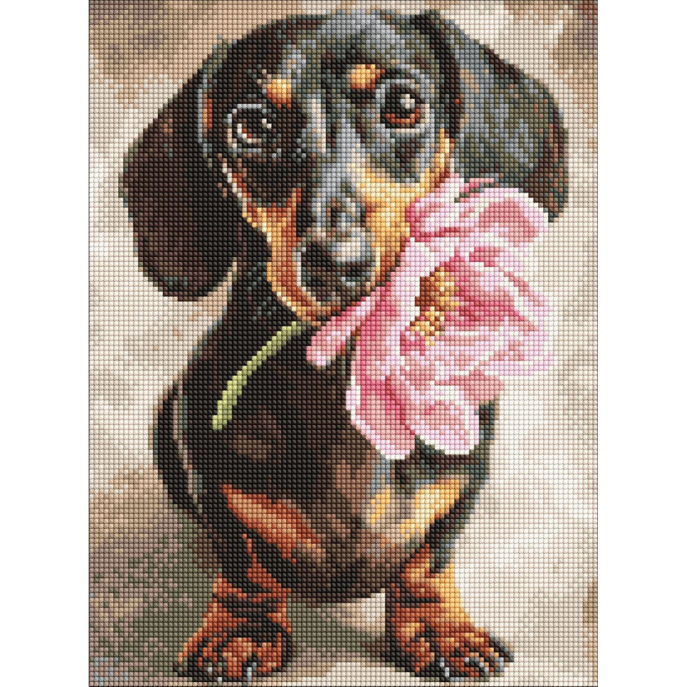 Алмазна мозаїка "Песик і сюрприз" ©art_selena_ua AMO20219, 30х40 см