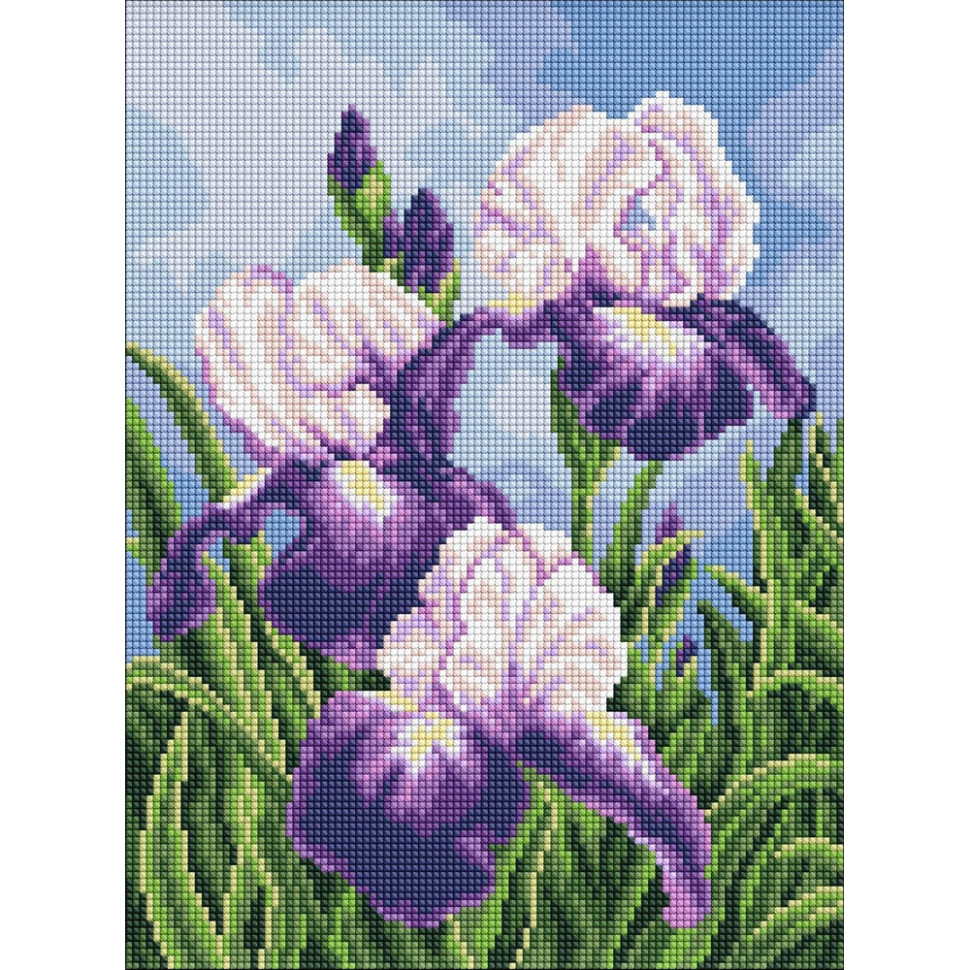 Diamond mosaic "Irises under the open sky" ©art_selena_ua AMO20470, 30x40 cm