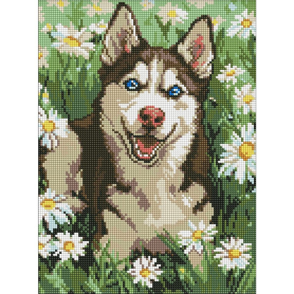 Алмазна мозаїка "Хаскі у квітках" ©art_selena_ua AMO20472, 30х40 см