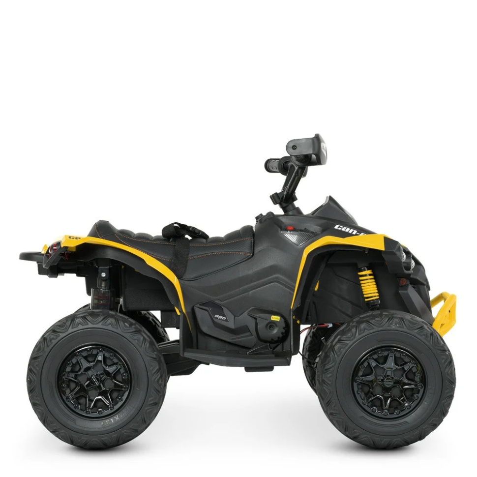 Детский электромобиль Квадроцикл Bambi M 5001EBLR-6