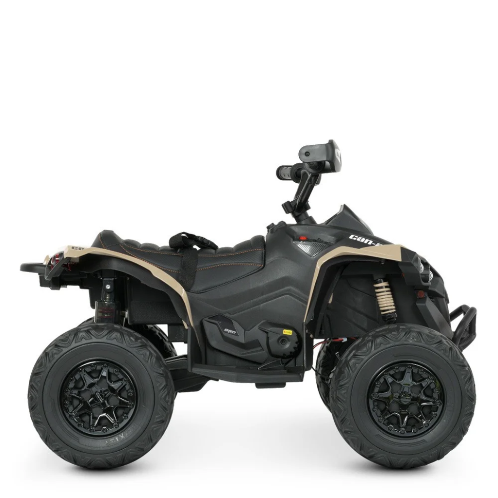 Детский электромобиль Квадроцикл Bambi M 5001EBLR-13