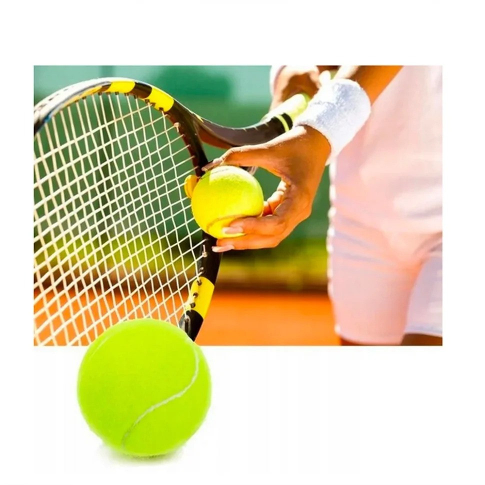 Набор мячей для большого тенниса SWDN Tennis Ball NE-TT-12 в чехле 12 штук