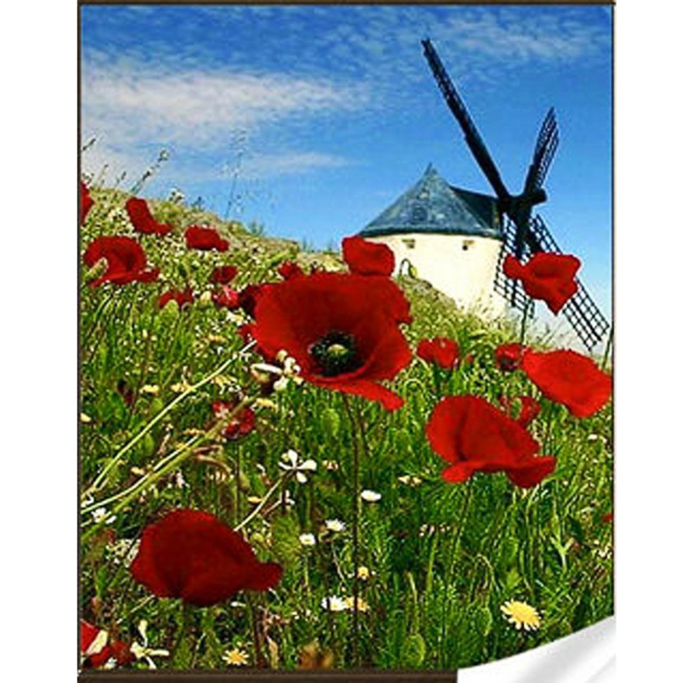 Diamond mosaic "Mill" GM86061 30x40 cm