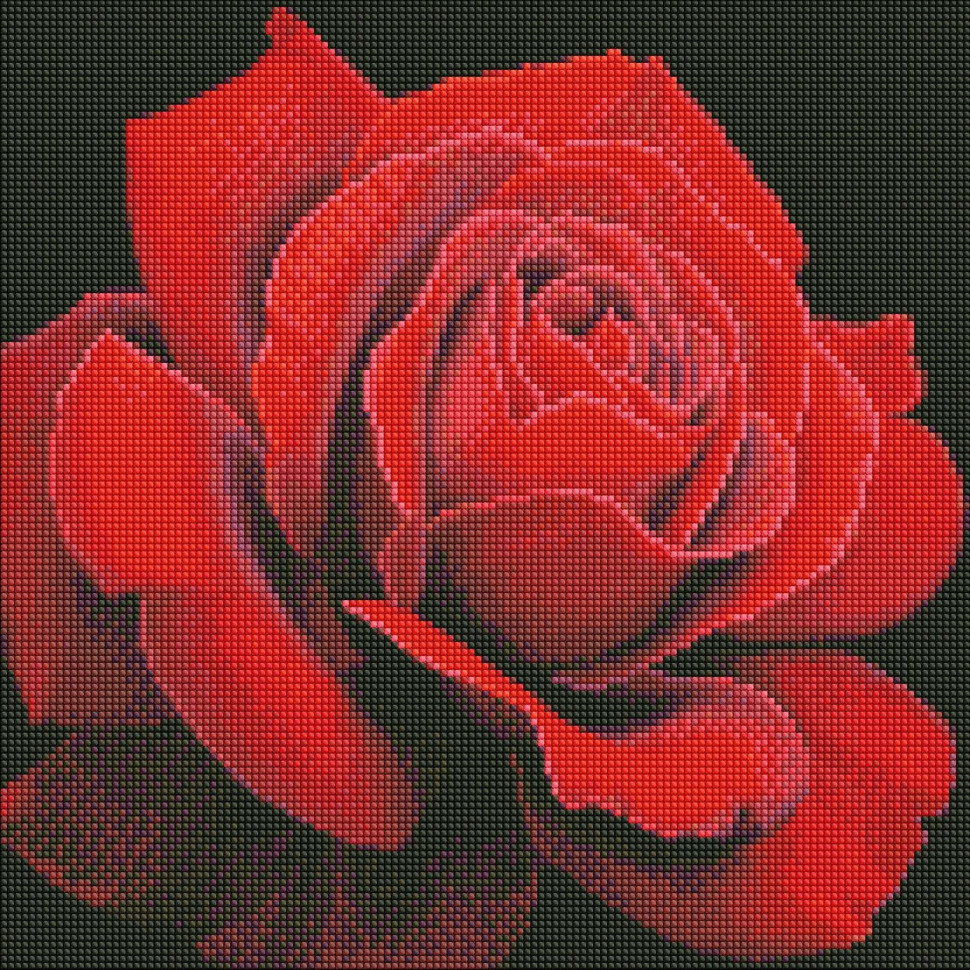 Diamond mosaic "Red Rose" ©annasteshka AMO7634 Ideyka 40x40 cm