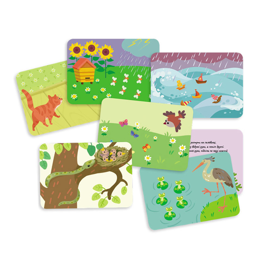 Developmental cards Fast Fingers "Speech Development"