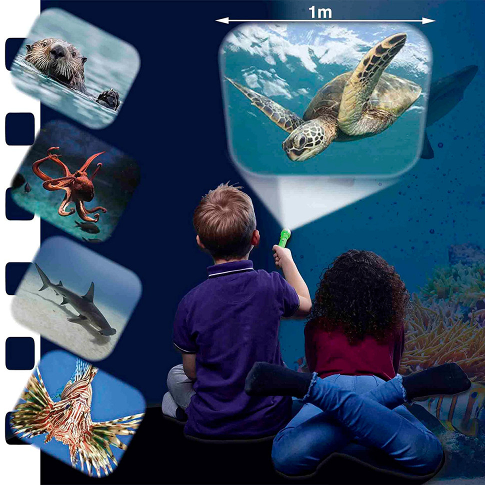 Brainstorm "Sea Creatures" Projector Flashlight N5132, 3 Discs, 24 Pictures Brainstorm "Sea Creatures" Projector Flashlight N5132, 3 Discs, 24 Pictures