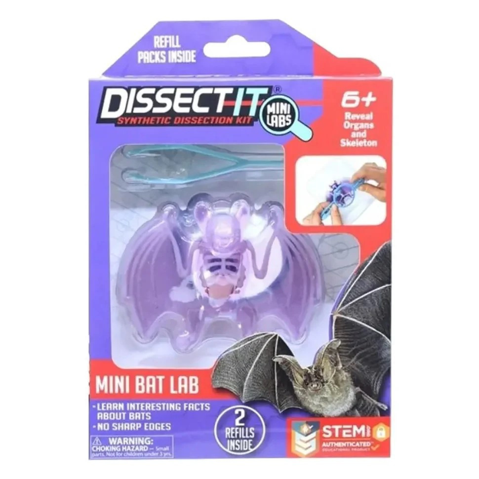 Slimy Lab Developing Set "Animal Anatomy - Bat" S Joker 38087